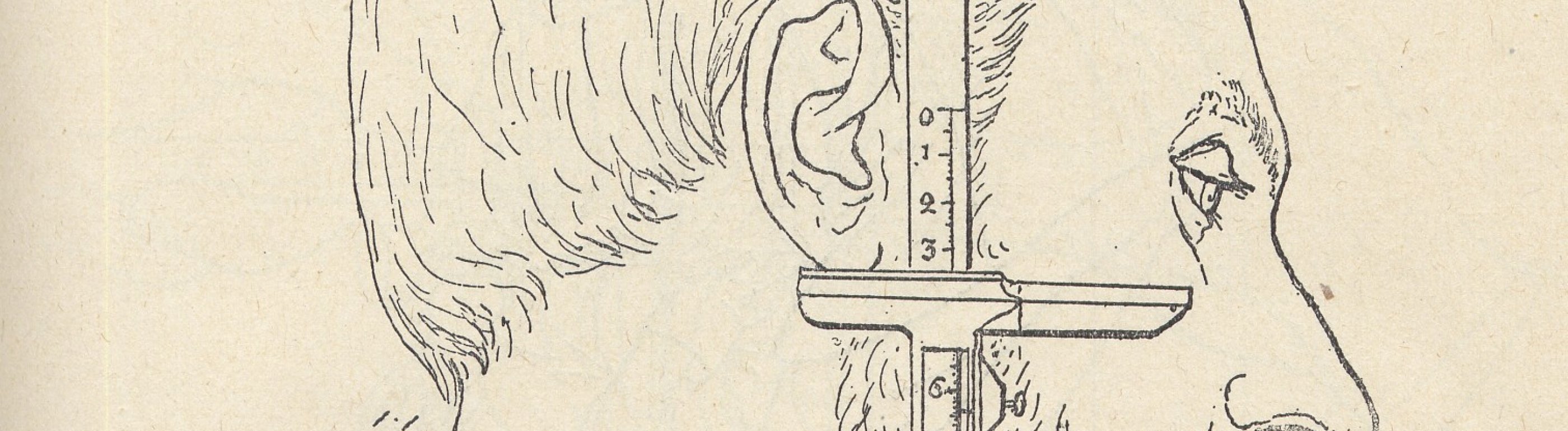 Dr. Alexander<br />
von Meyering