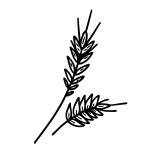 Um 5500 v. Chr. — Getreidebrei und Einkornbrot, Mitteleuropa 